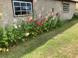 Cosy cottage in peaceful surroundings