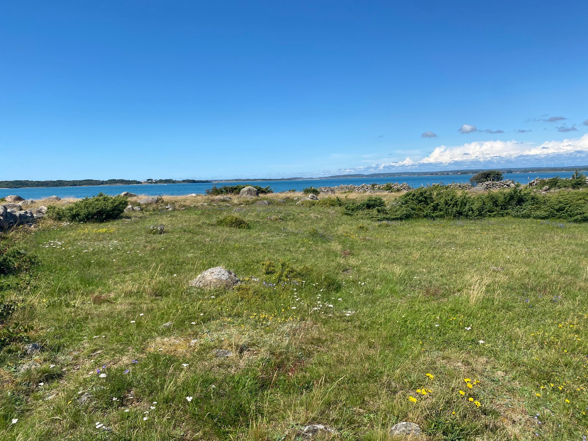 Mysig nybyggd lägenhet nära havet – bild 11 av 15