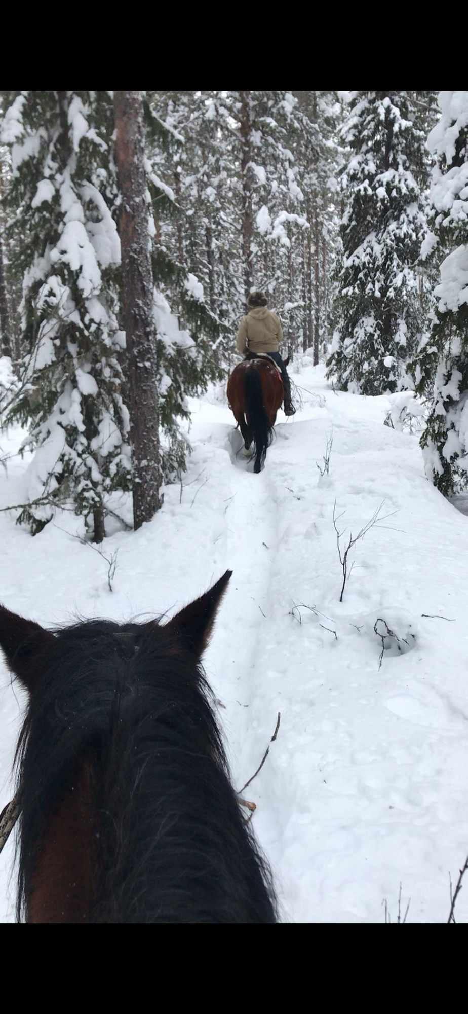 Stuga i Björnrike med 9 + 2 bäddar #30286 – bild 20 av 20