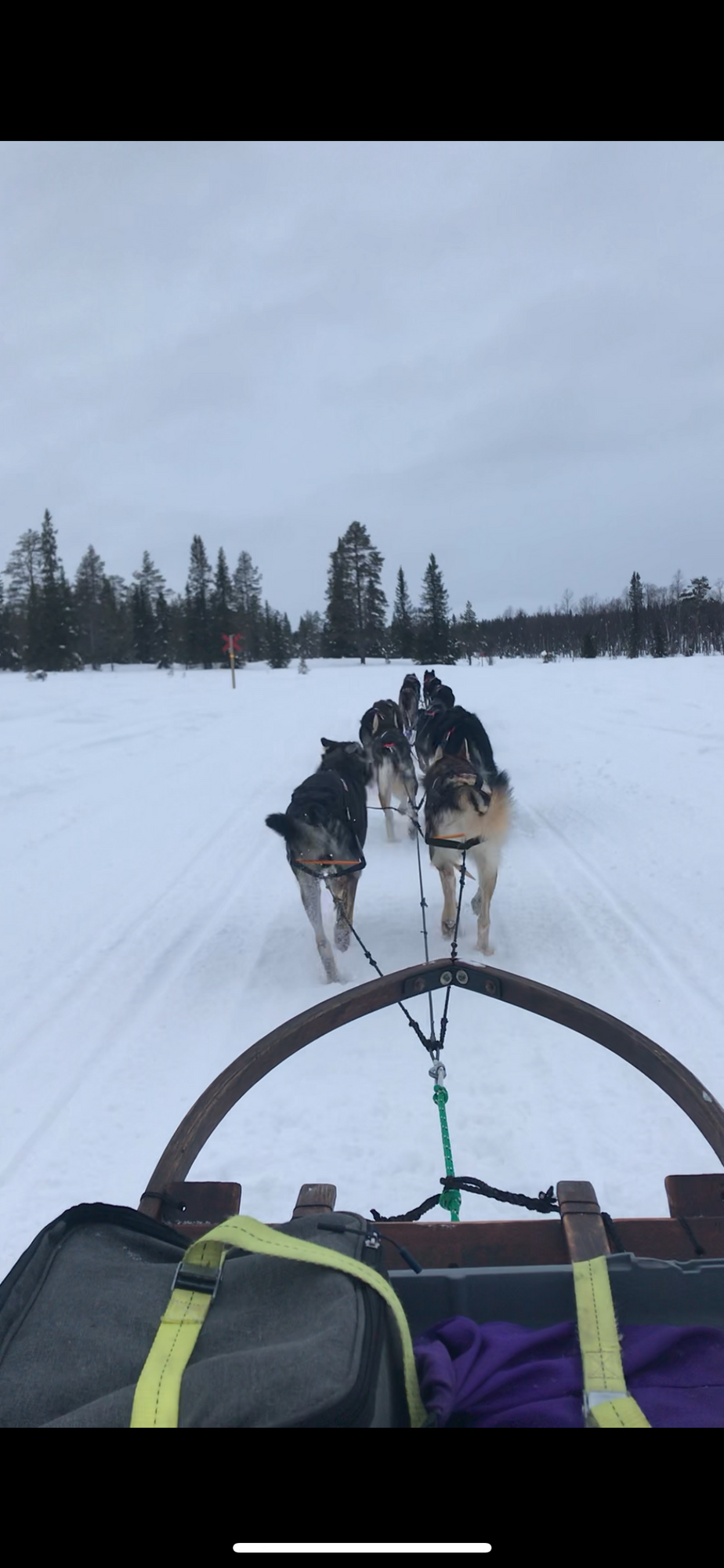 Stuga i Björnrike med 9 + 2 bäddar #30286 – bild 19 av 20