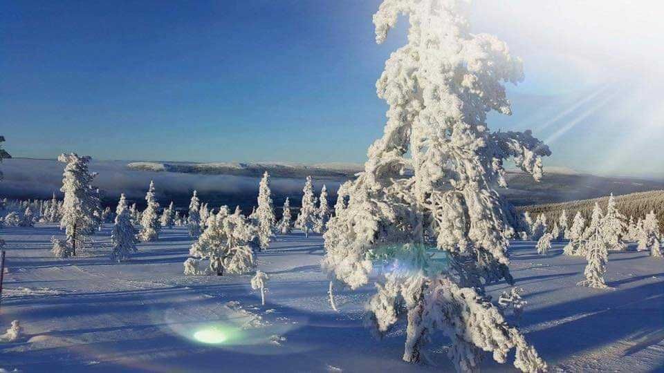Nymon. Stöten i Sälen – bild 6 av 24