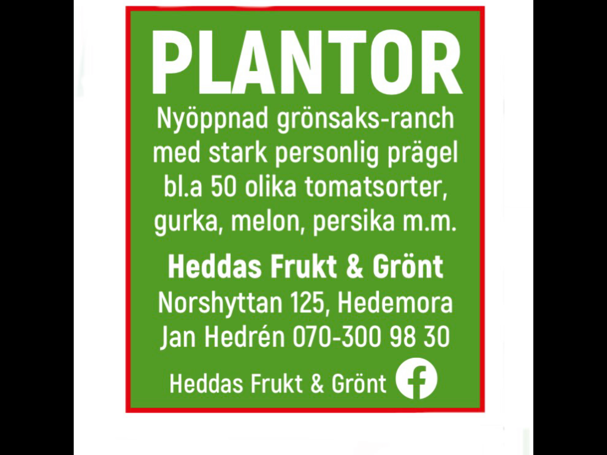 Södra-dalarnas mysigaste bed and breakfast – bild 11 av 21