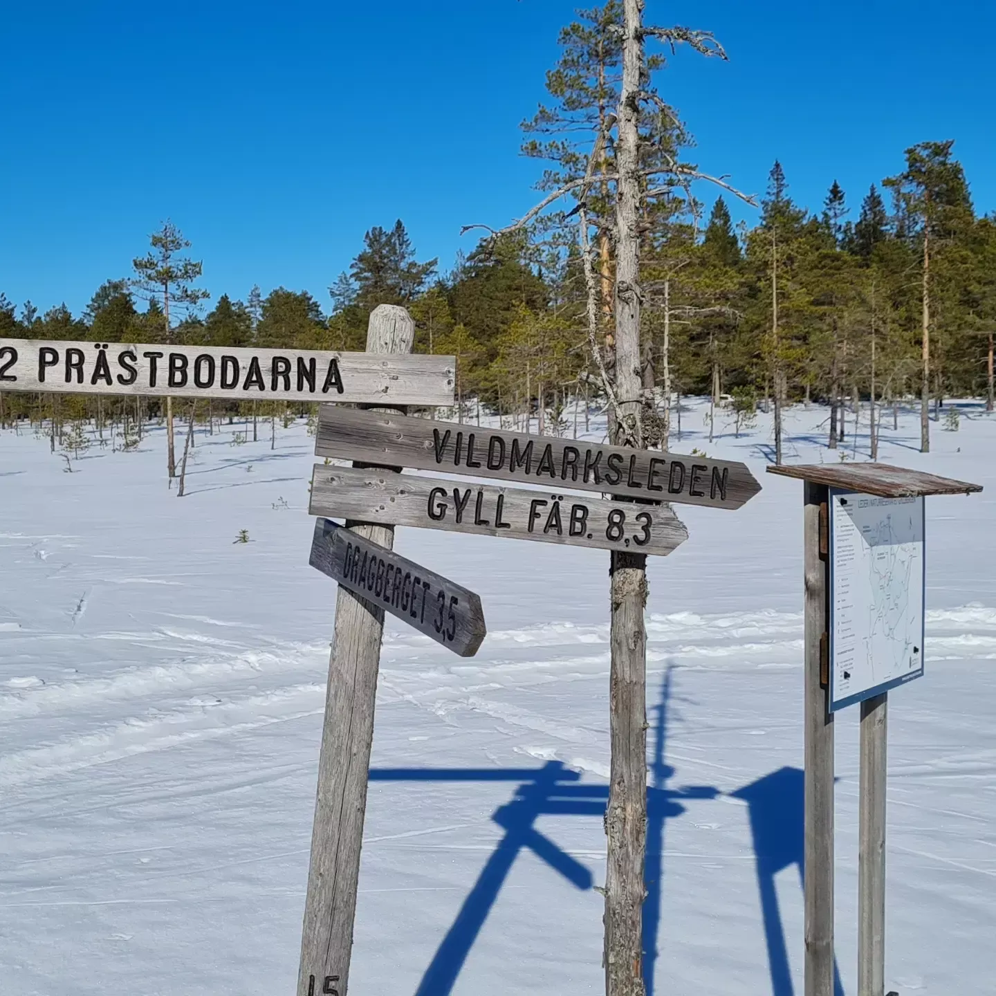 mysig stuga i utkanten av Borlänge – bild 13 av 14