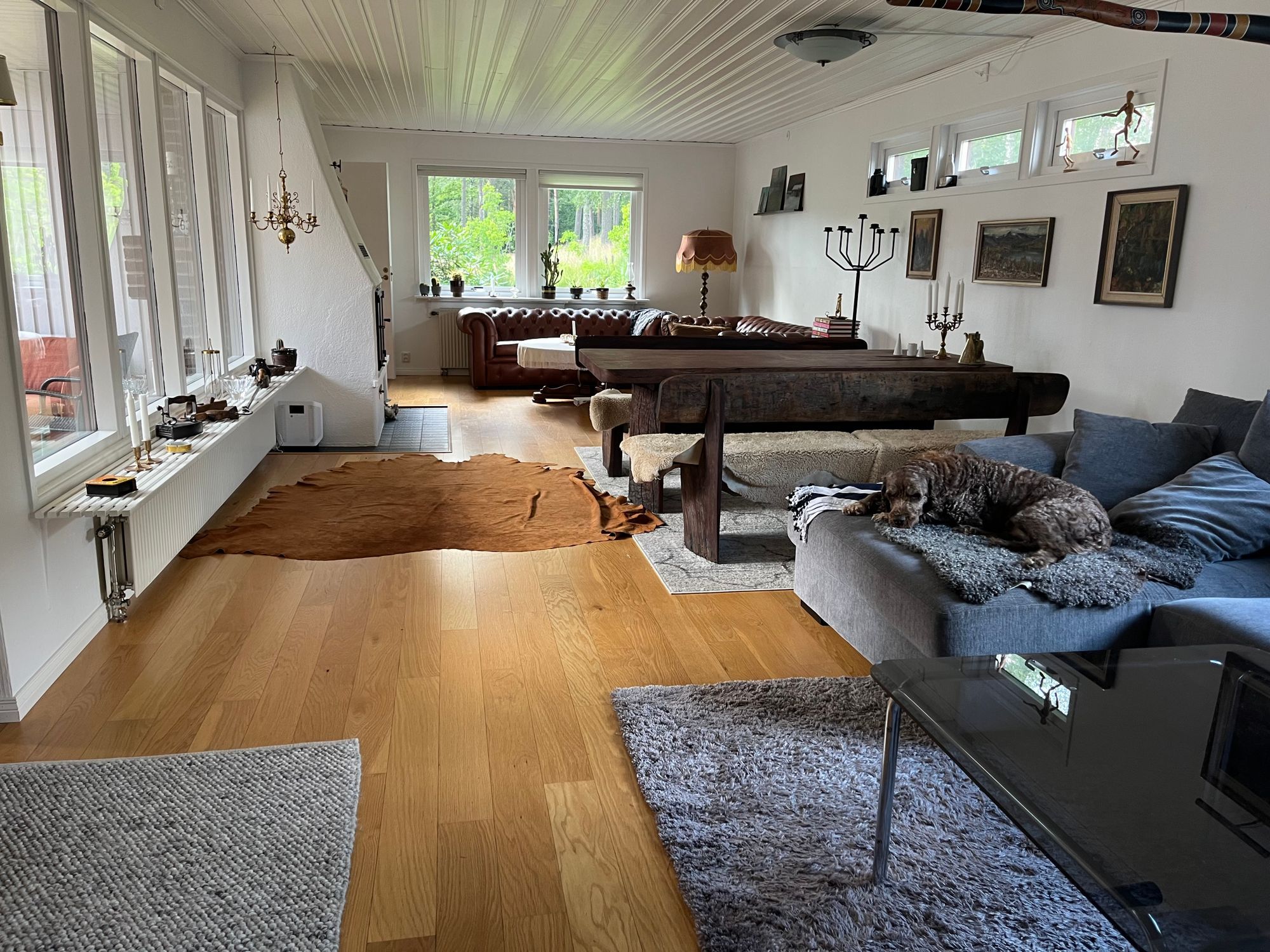 Generös enplansvilla med bad, fiske och skog – bild 4 av 20