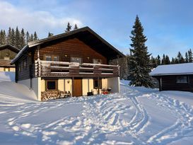 Ski In - Ski Out Edsåsdalen