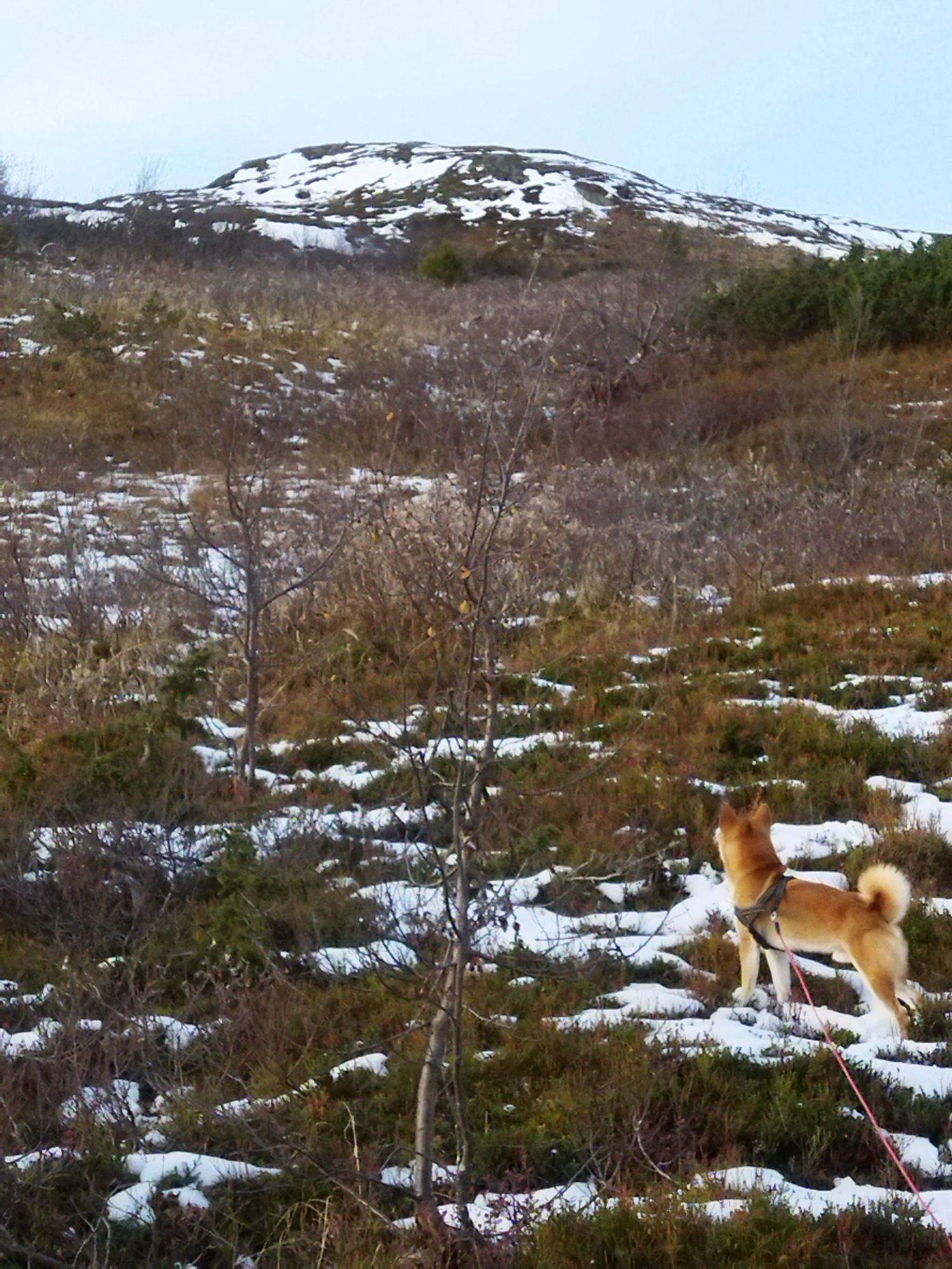 Högt belägen på Copper Hill berget – bild 8 av 15