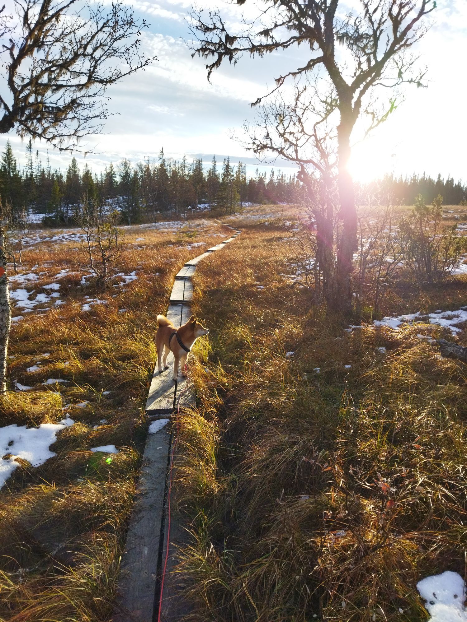 Högt belägen på Copper Hill berget – bild 15 av 15