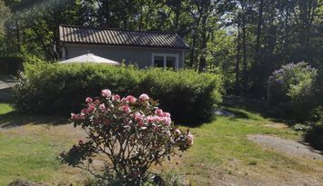 Ljuvlig sommarstuga vid havet!