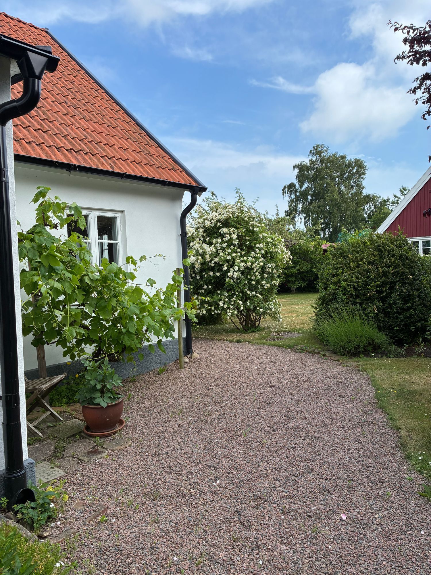 Gårdshus i Arild – bild 16 av 16