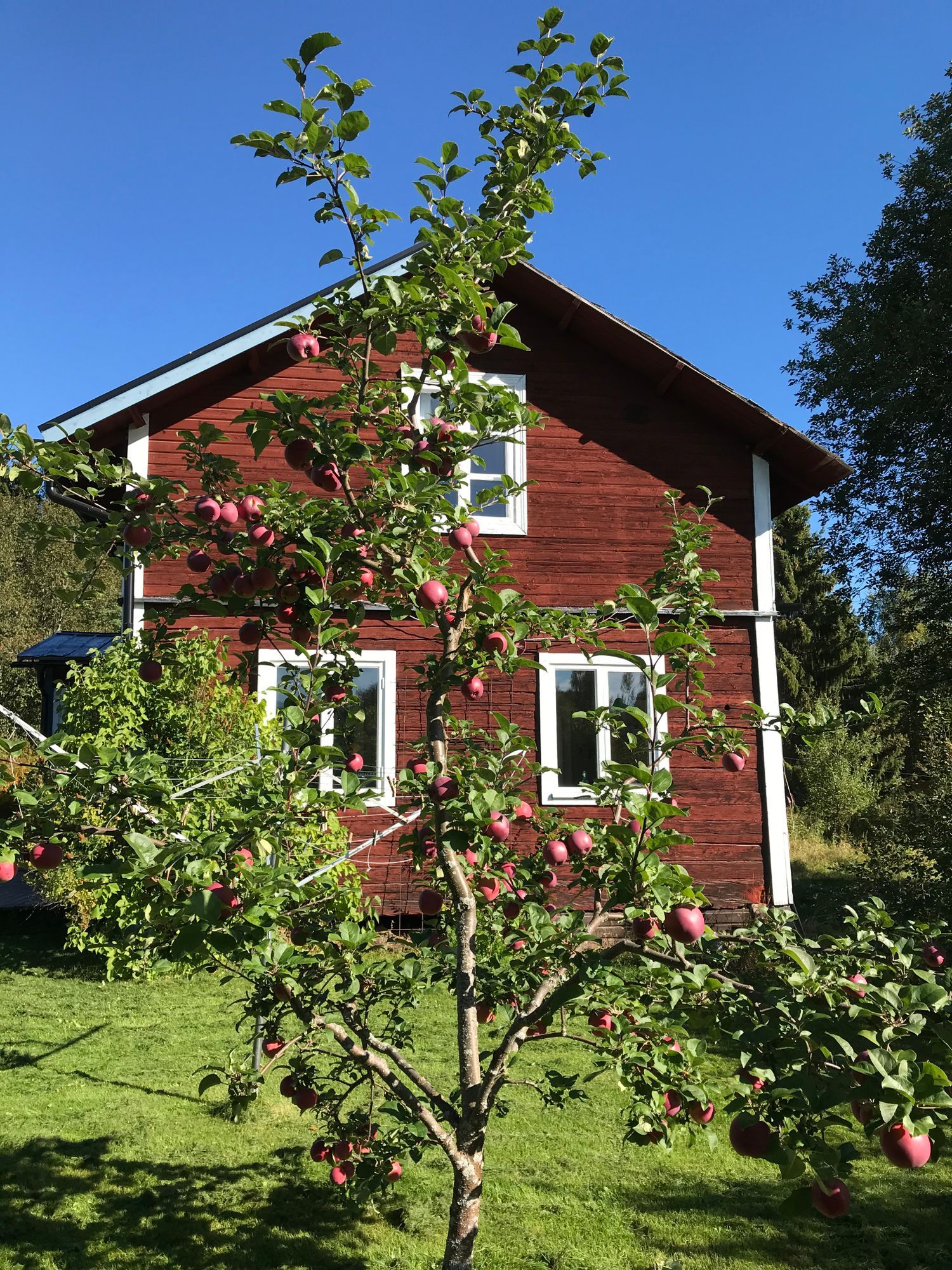 Rymlig stuga norr om Ljusdal – bild 3 av 19