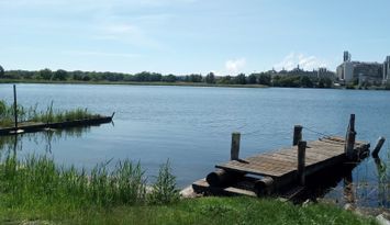 Blekingekusten, 50 m från havet.  Hundvänligt!