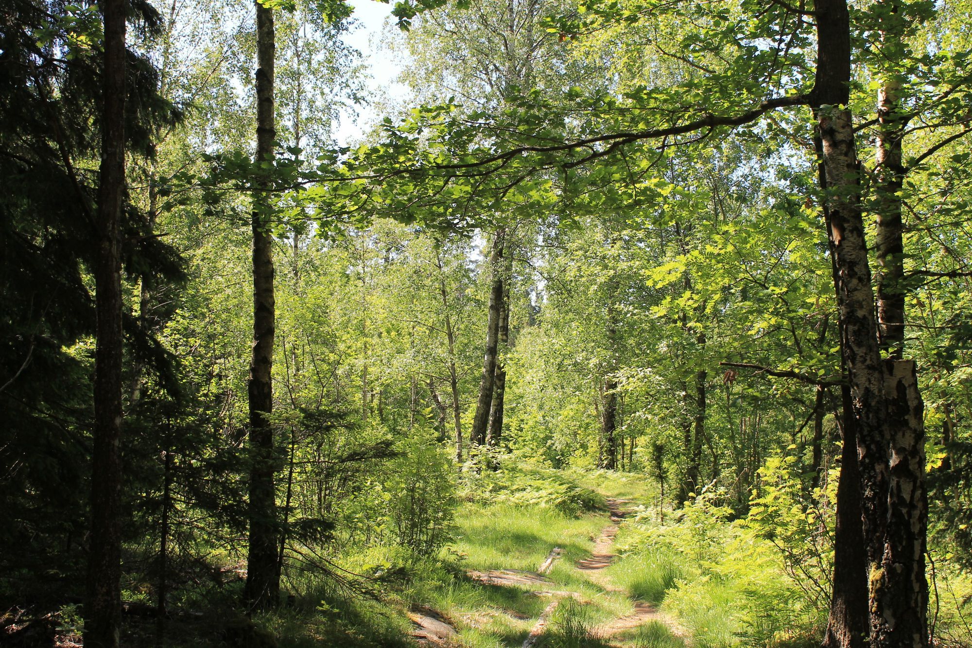 Rogivande boende i 1800-talsmiljö – bild 23 av 24