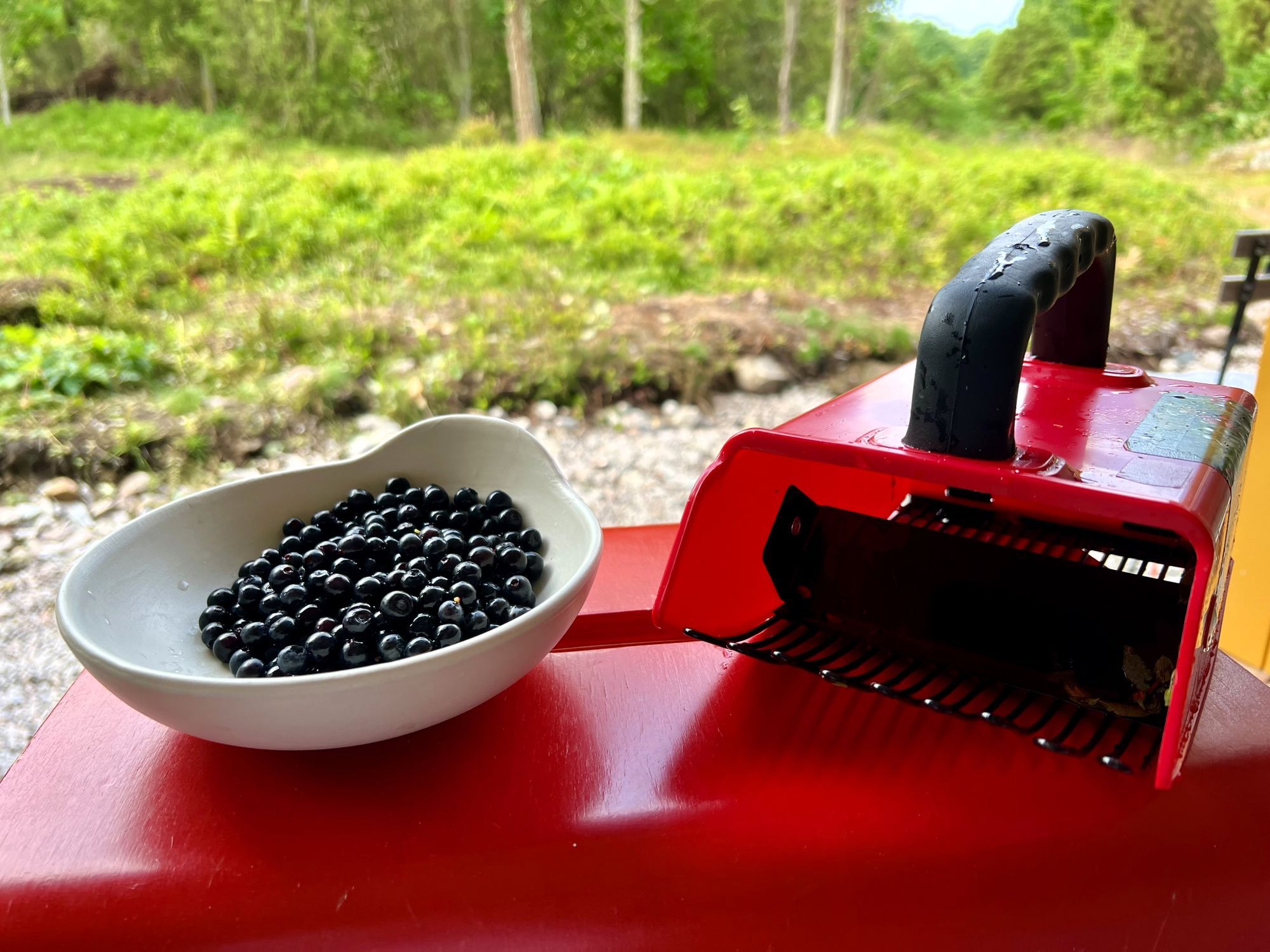 Skogsdröm nära hav och skärgård – bild 17 av 24