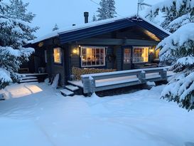 Modern timbered mountain cabin in a good location!