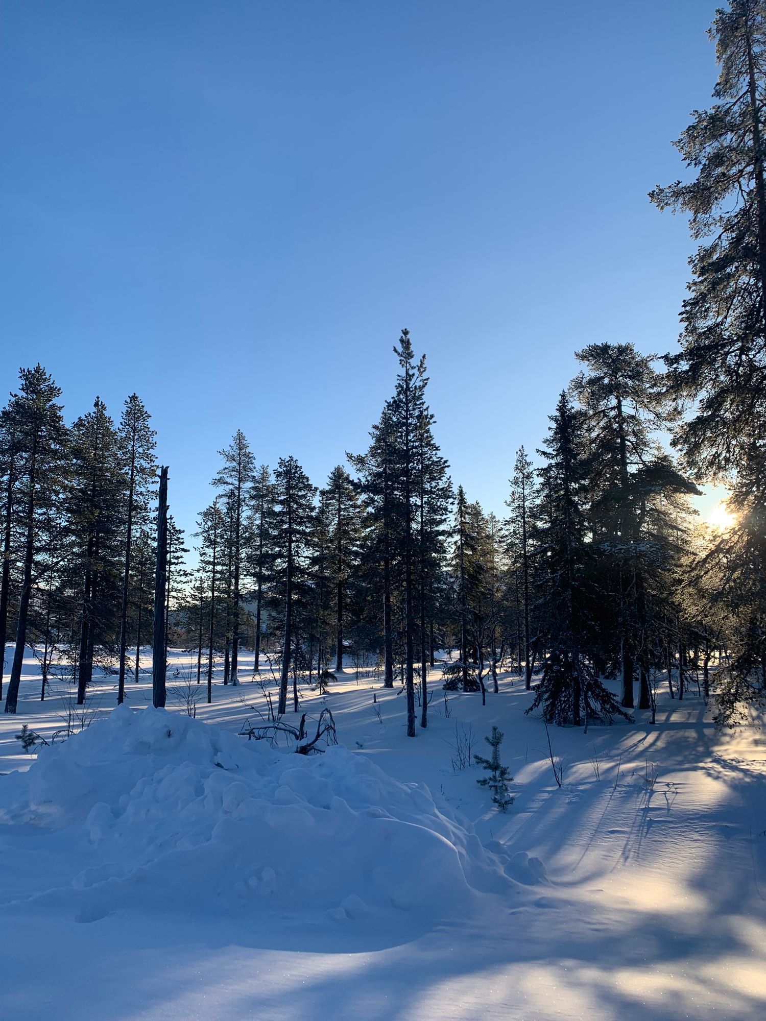 Nybyggt lofthus Orrliden, Tandådalen – bild 4 av 24