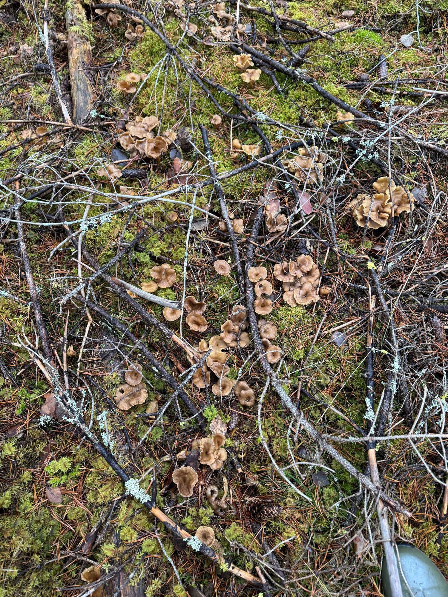 Underbara Ugglebo – bild 11 av 13