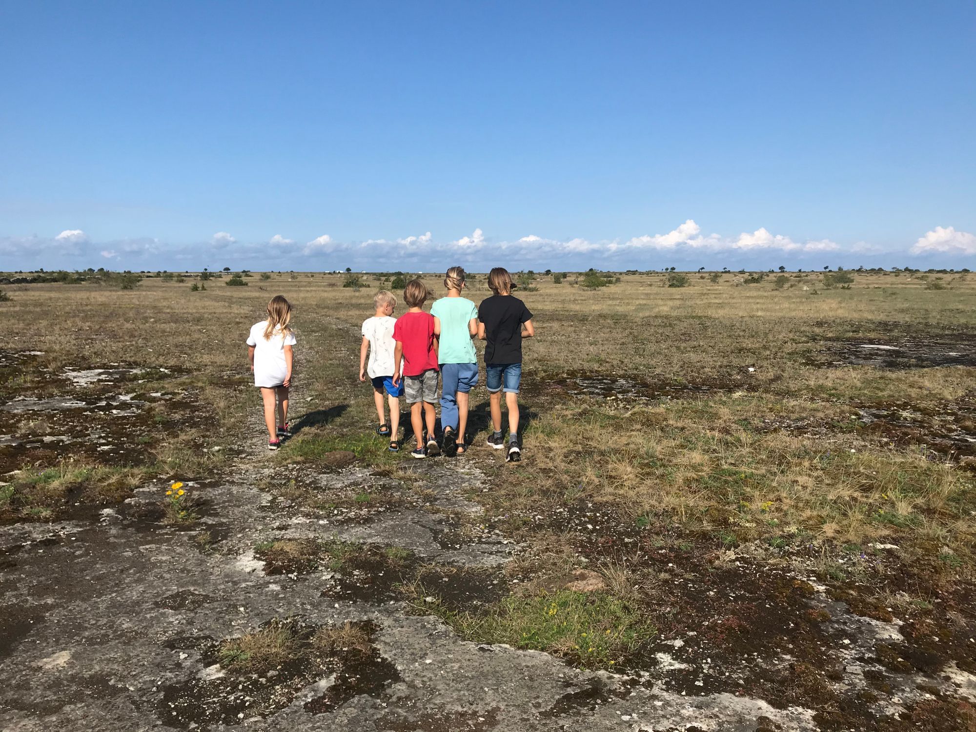 Öland,Borgholm, Köpingsvik,Alböke, Eriksberg. – bild 21 av 24