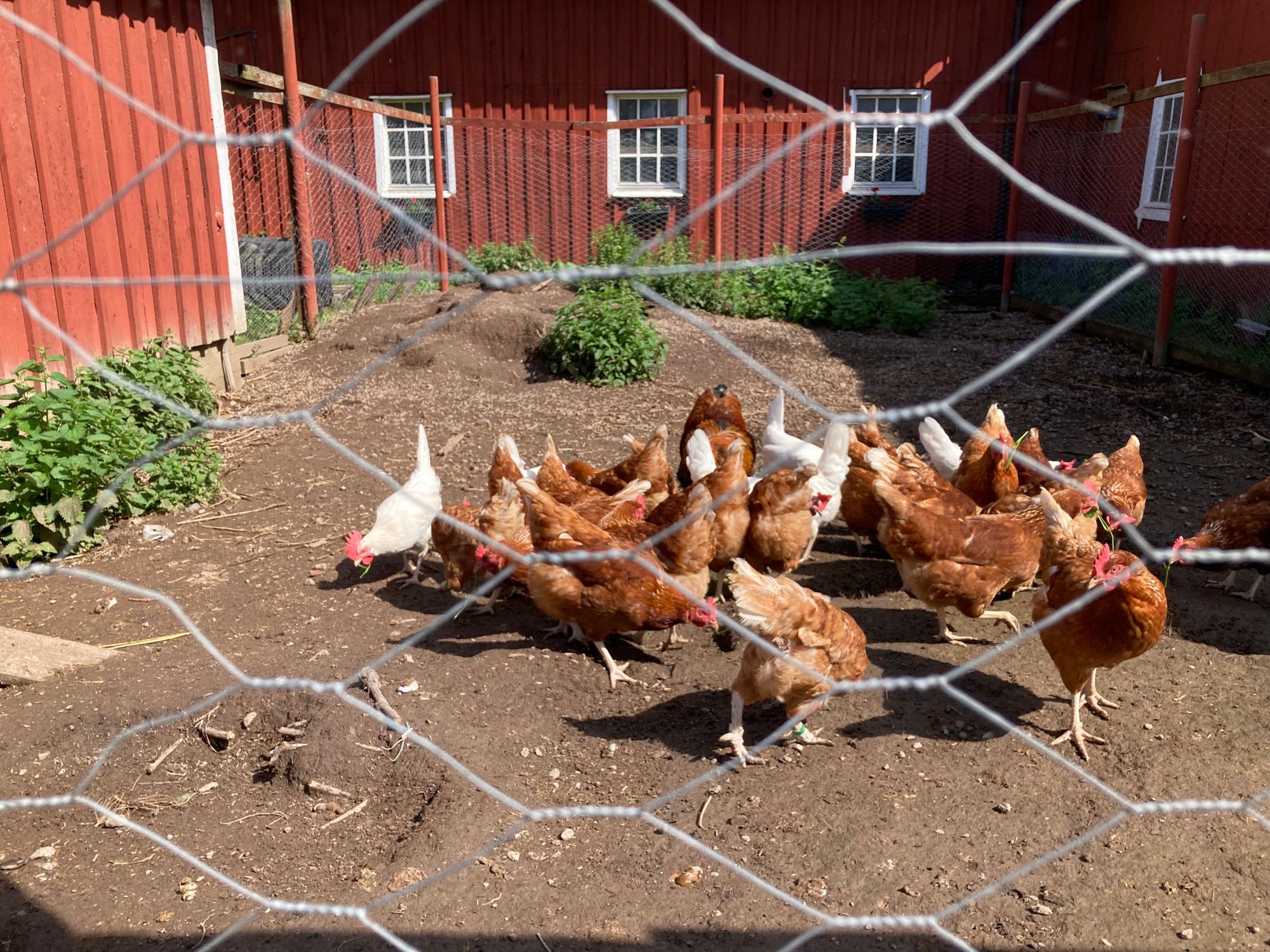 Mysigt hus på landet nära Skara. – bild 4 av 17