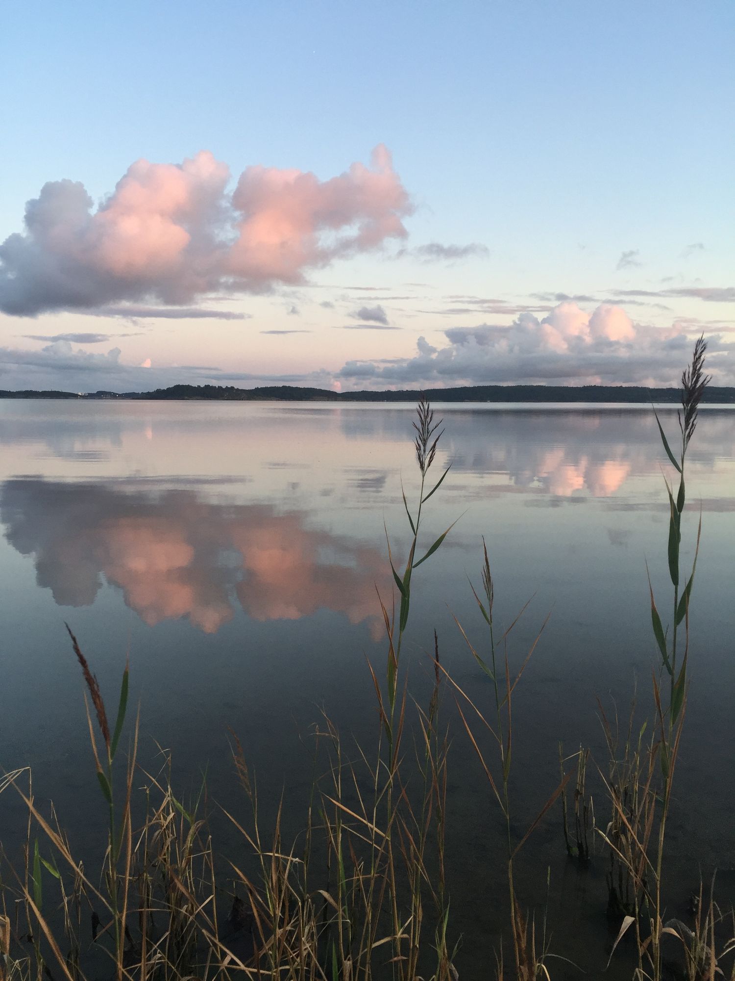 Boende med havsutsikt på Orust, Bohuslän