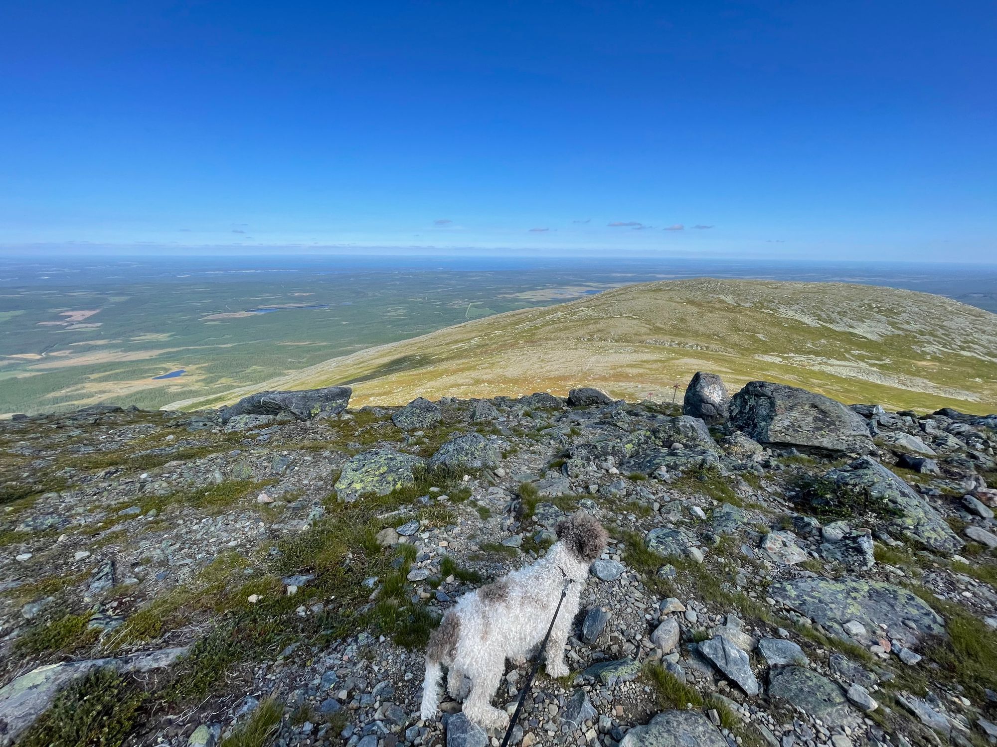 Familjestuga i Fjällhalsen – bild 22 av 24