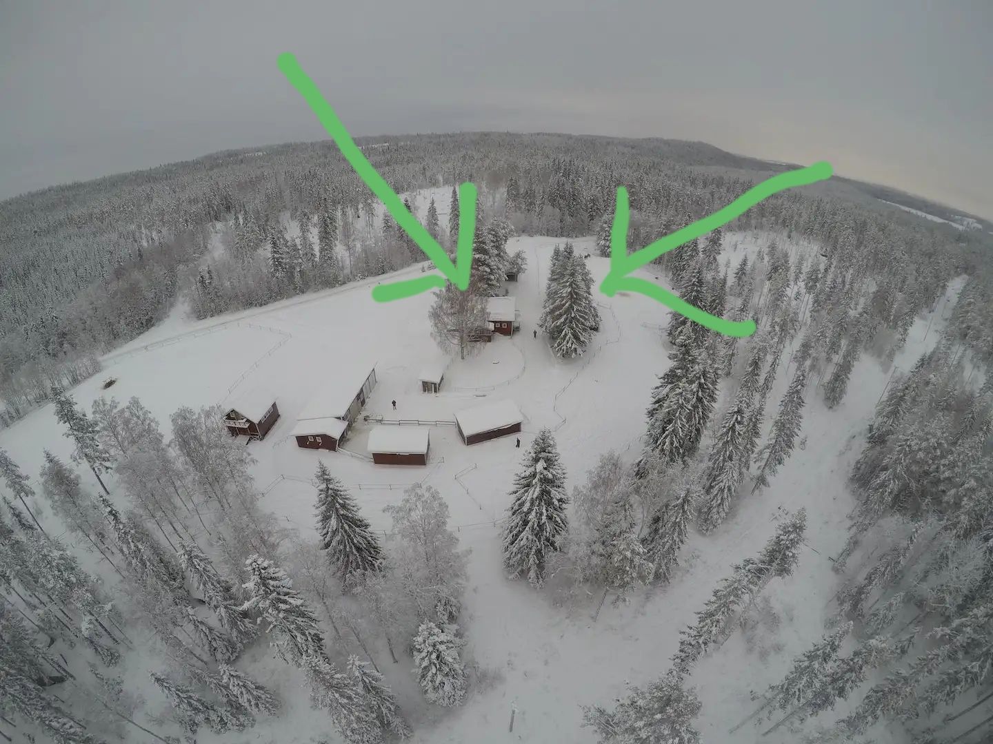 Skogsidyll i Jämtland - natur, lugn – bild 13 av 17