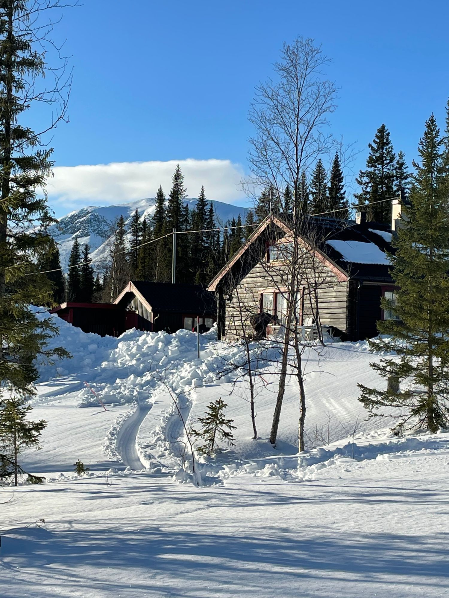 Stuga uthyres i Marsliden, Saxnäs, Marsfjäll – bild 4 av 23