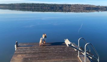 Mysig stuga på landet i charmiga Gamlebyviken
