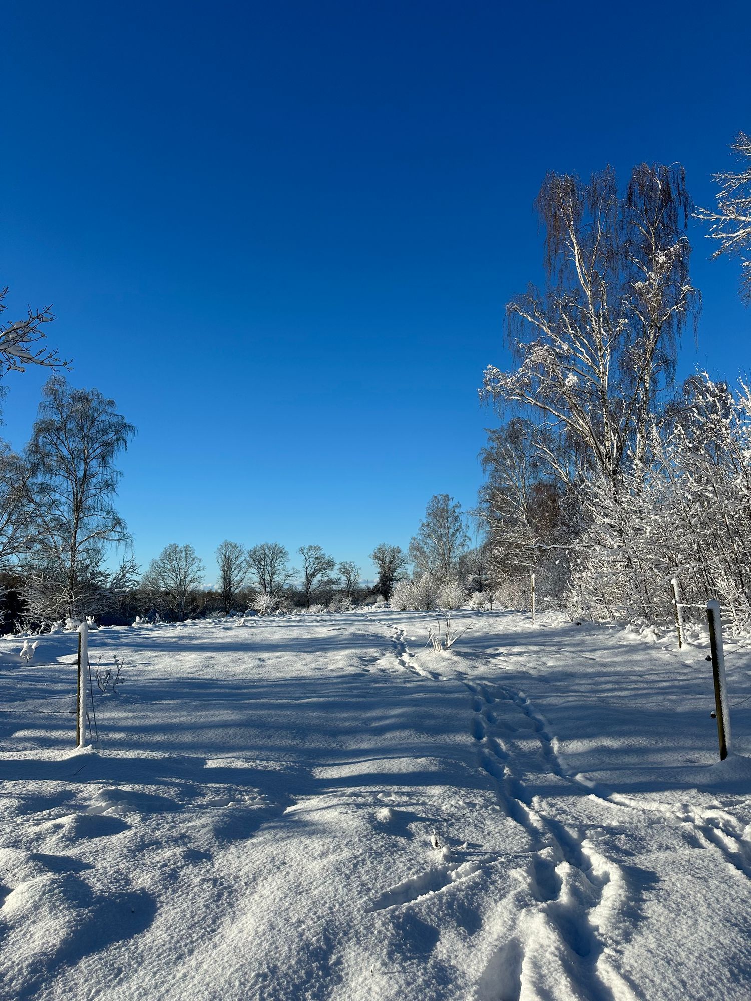 Skogsnära stuga i Ludvigsborg – bild 16 av 23