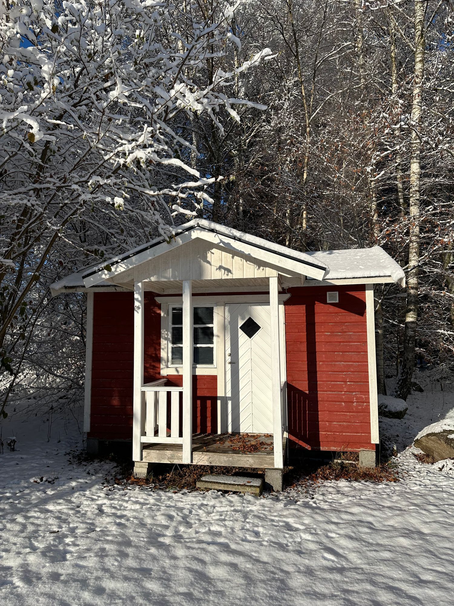 Skogsnära stuga i Ludvigsborg – bild 22 av 23
