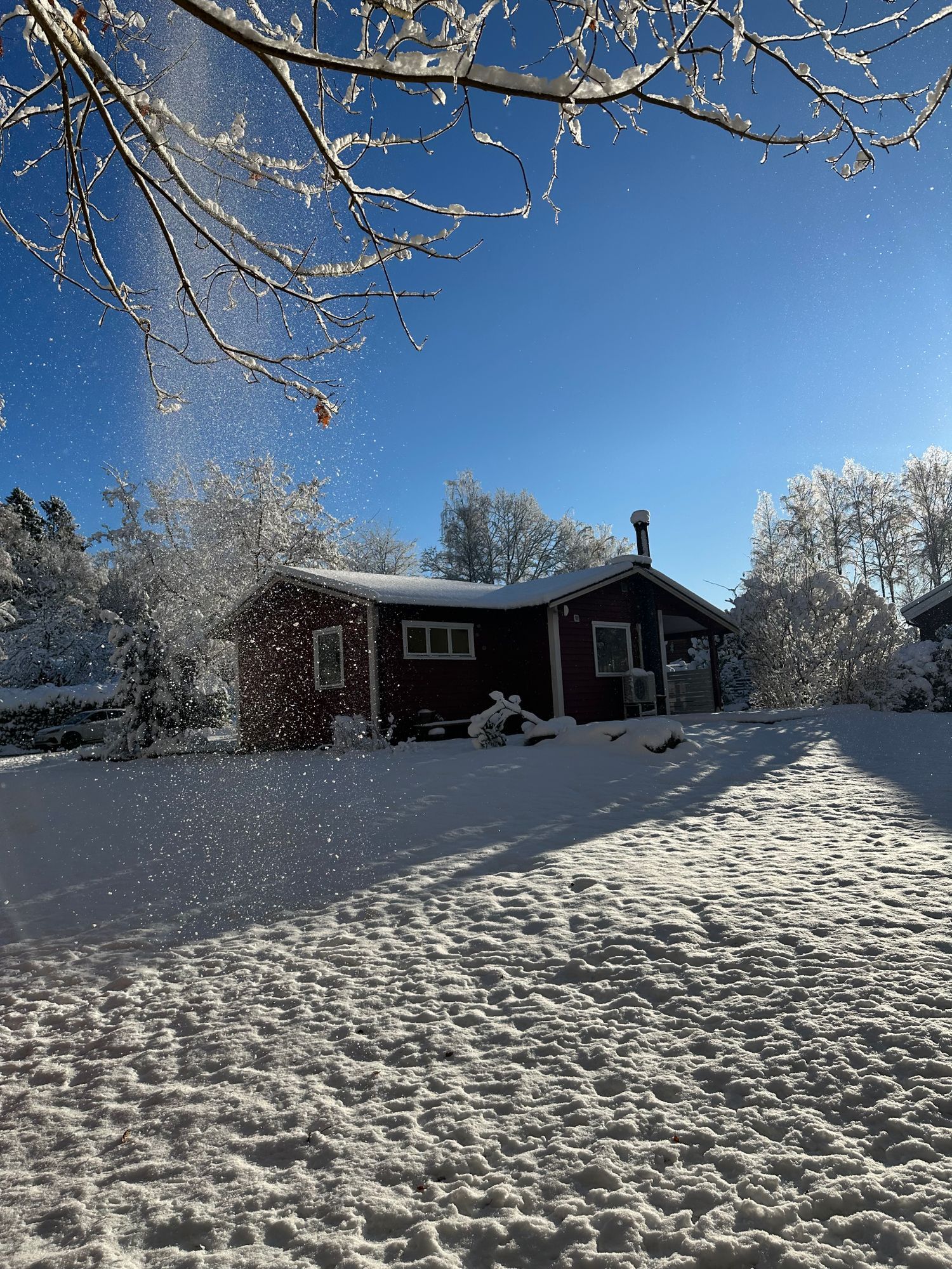Skogsnära stuga i Ludvigsborg – bild 23 av 23