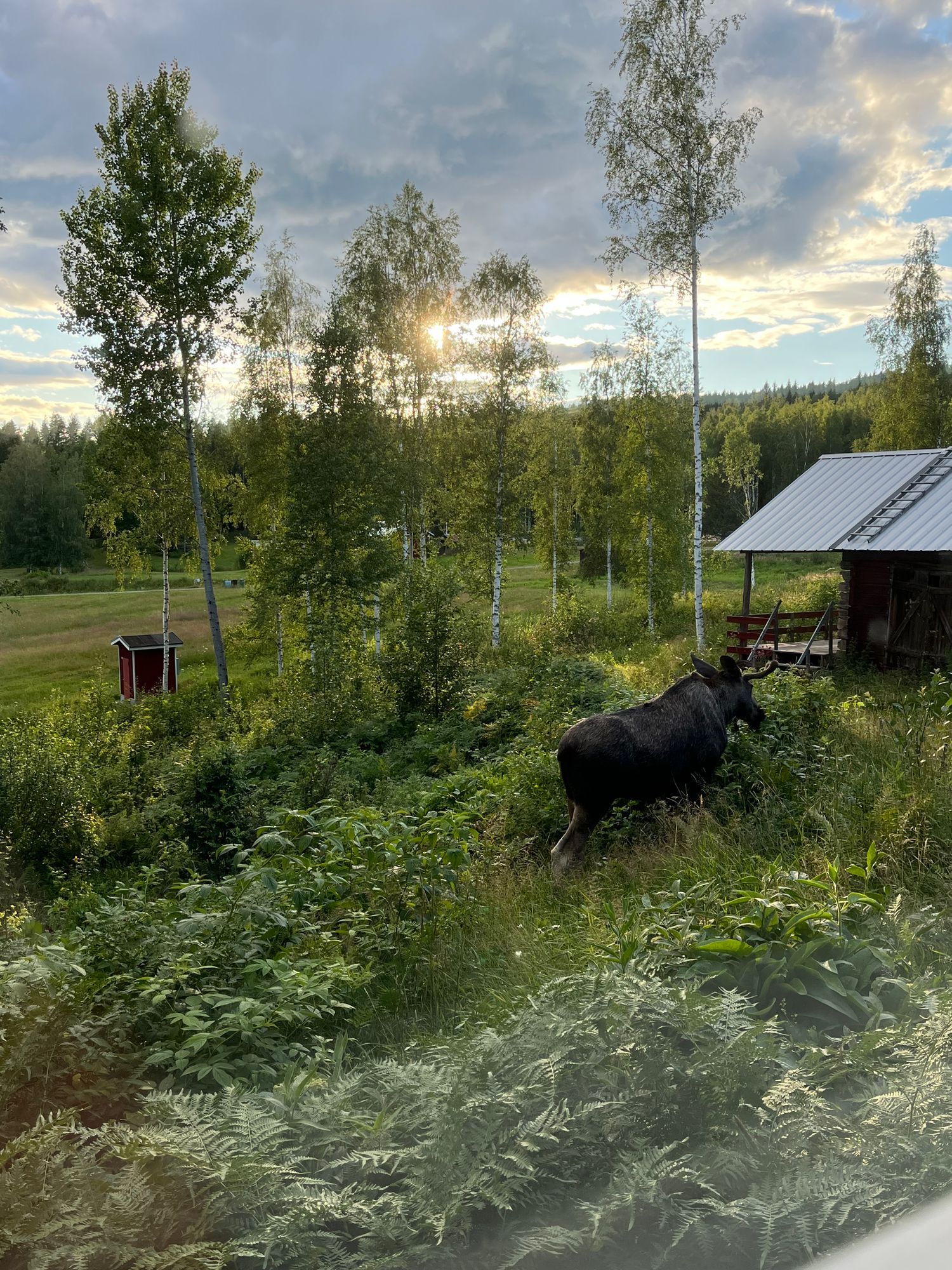 Mysig stuga nära Torsby – bild 21 av 24