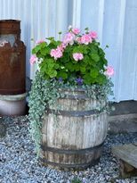 Bed & Breakfast på Käringön