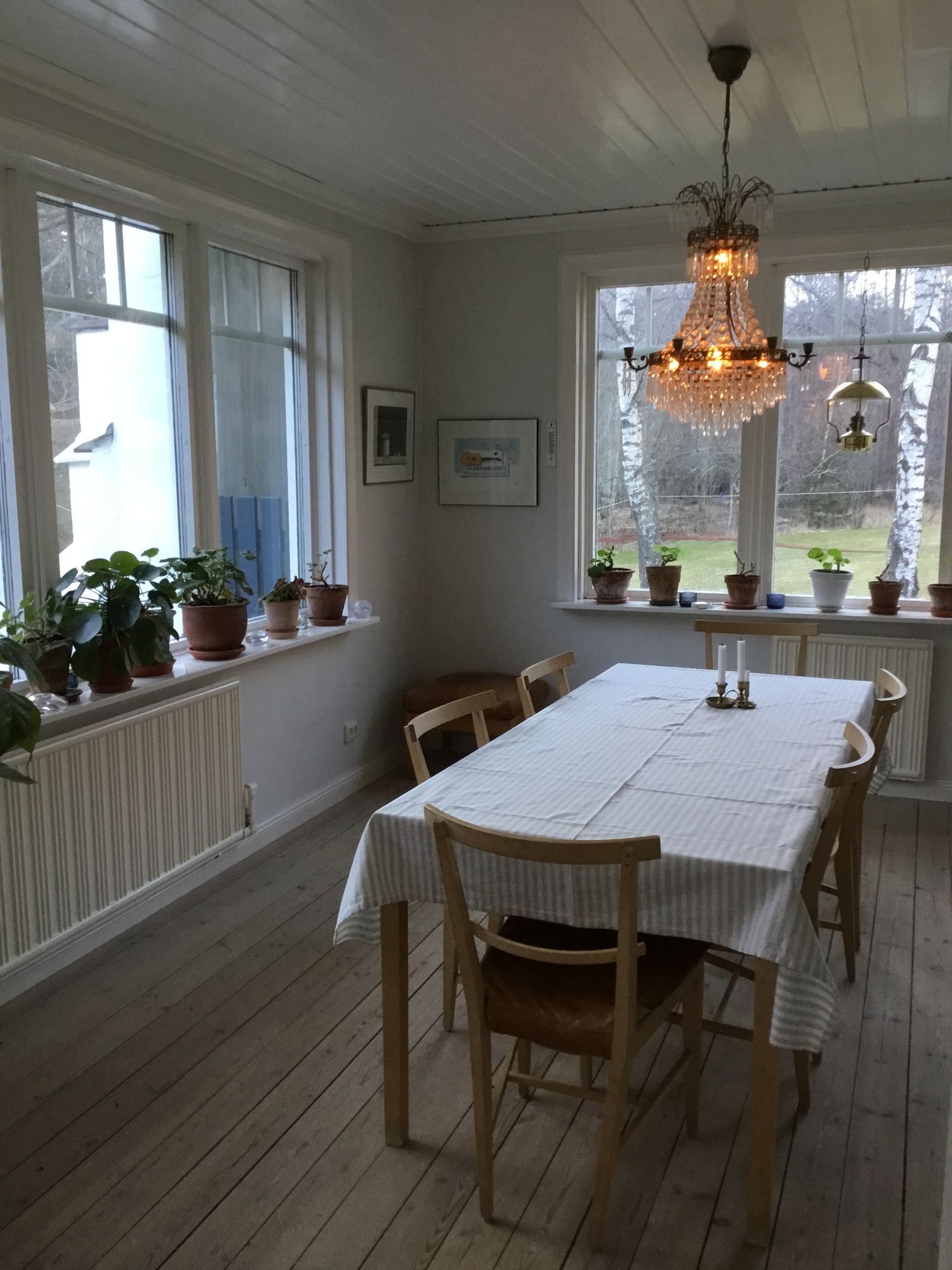 Skärgårdsidyll – bild 11 av 14