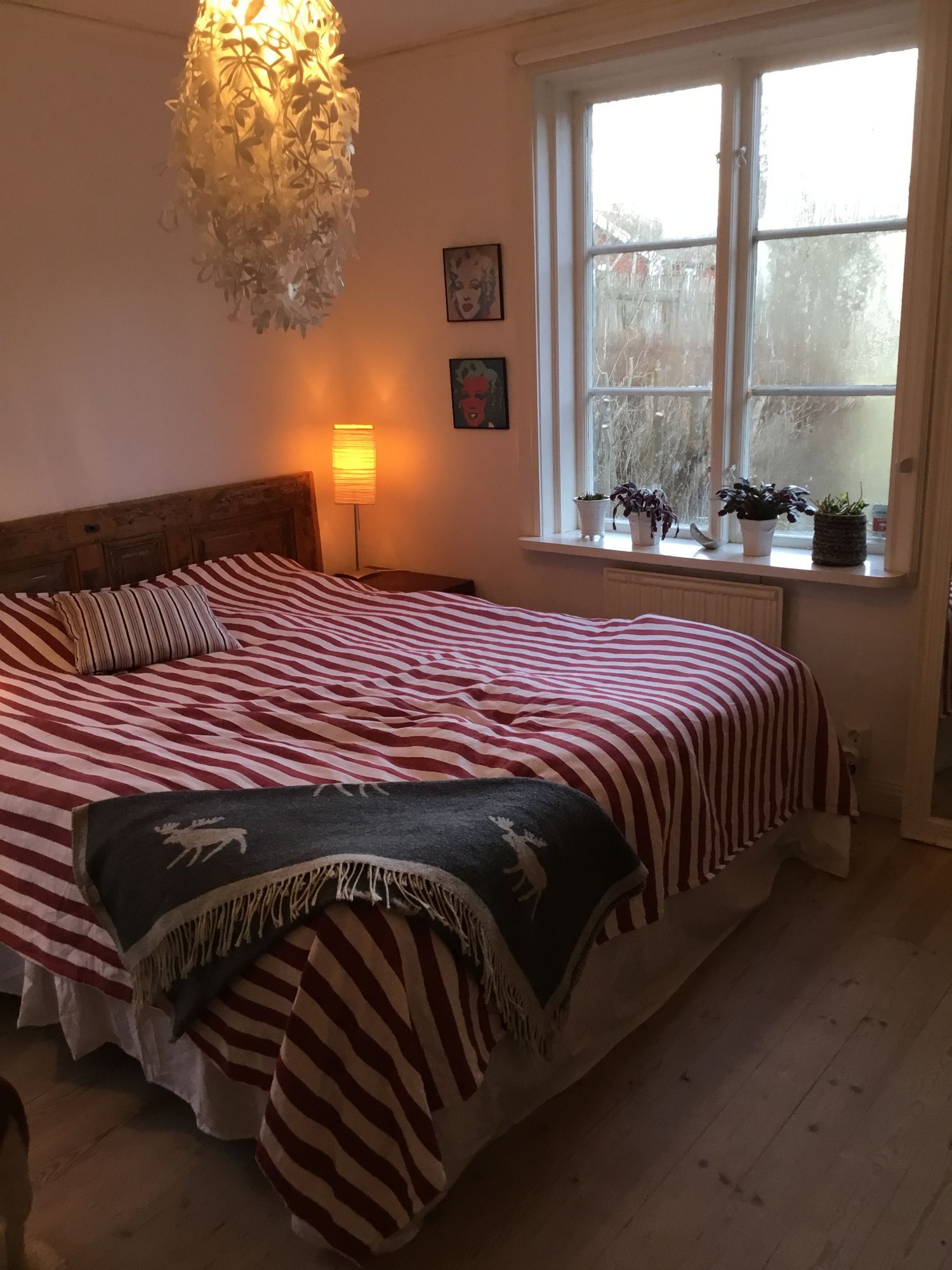 Skärgårdsidyll – bild 13 av 14