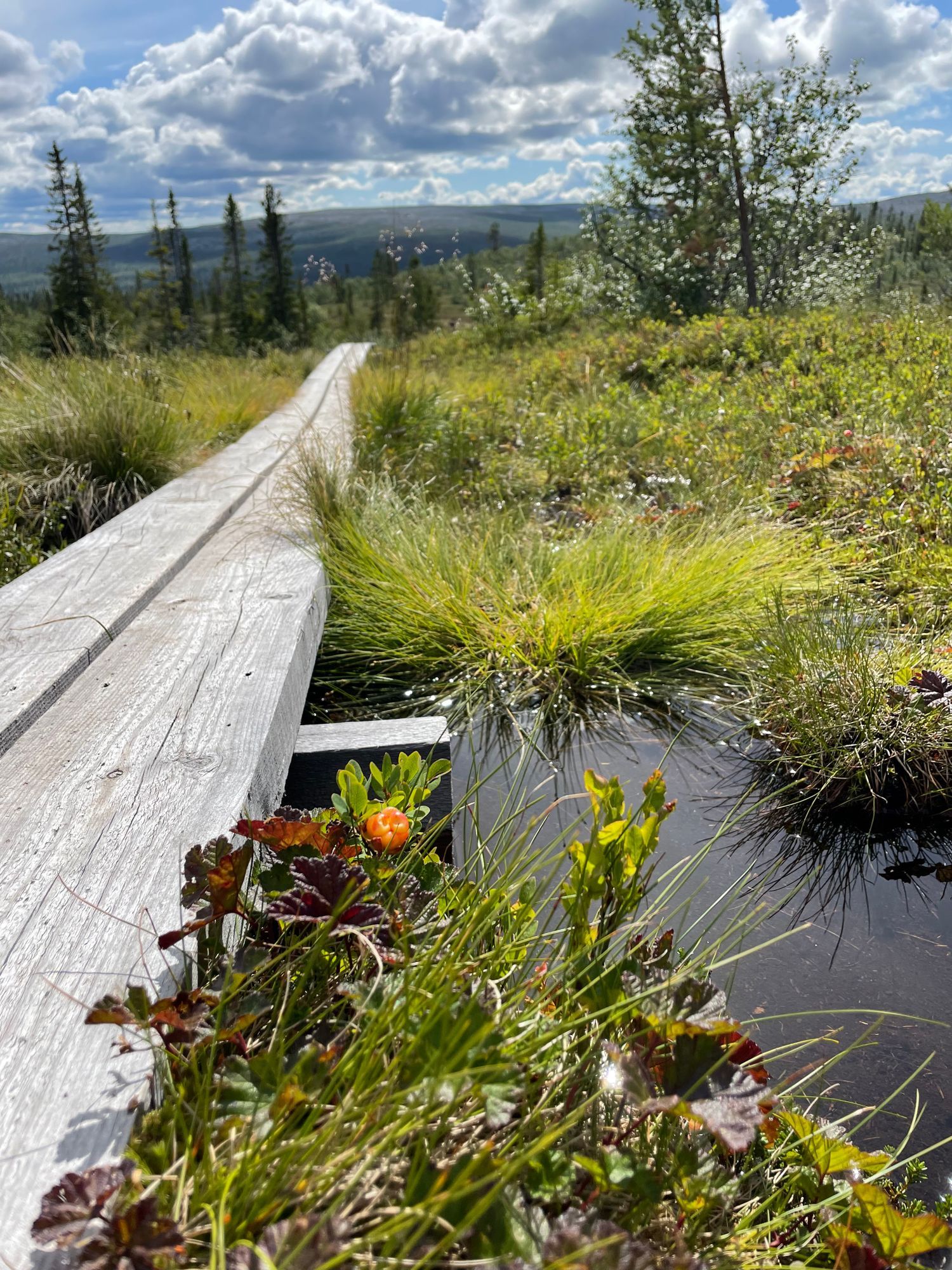 Stuga i Vemdalen med 10 bäddar #35562 – bild 24 av 24