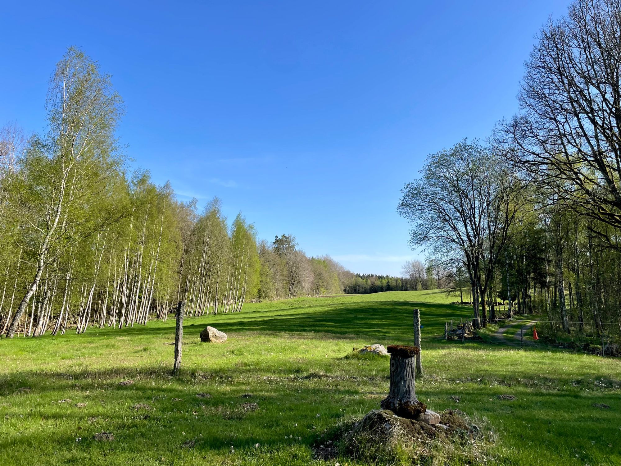 Mysig stuga vid Broby - nära sjö & utsikt över äng – bild 3 av 24