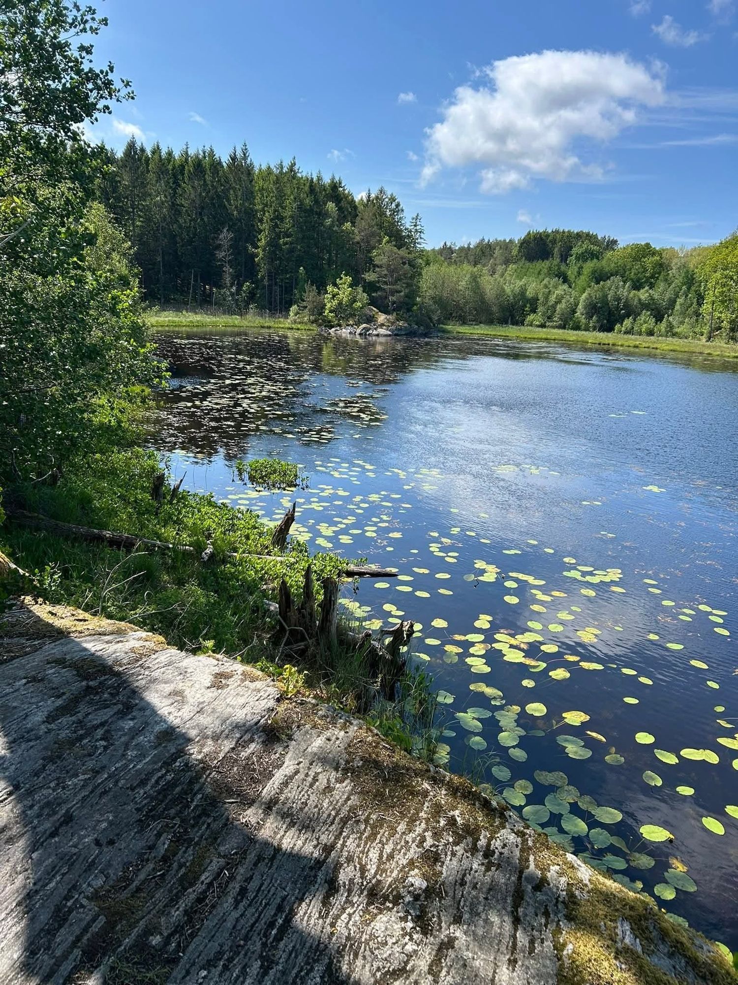 Havsnära vid Malö Strömmar och Orust Golfklubb – bild 22 av 22