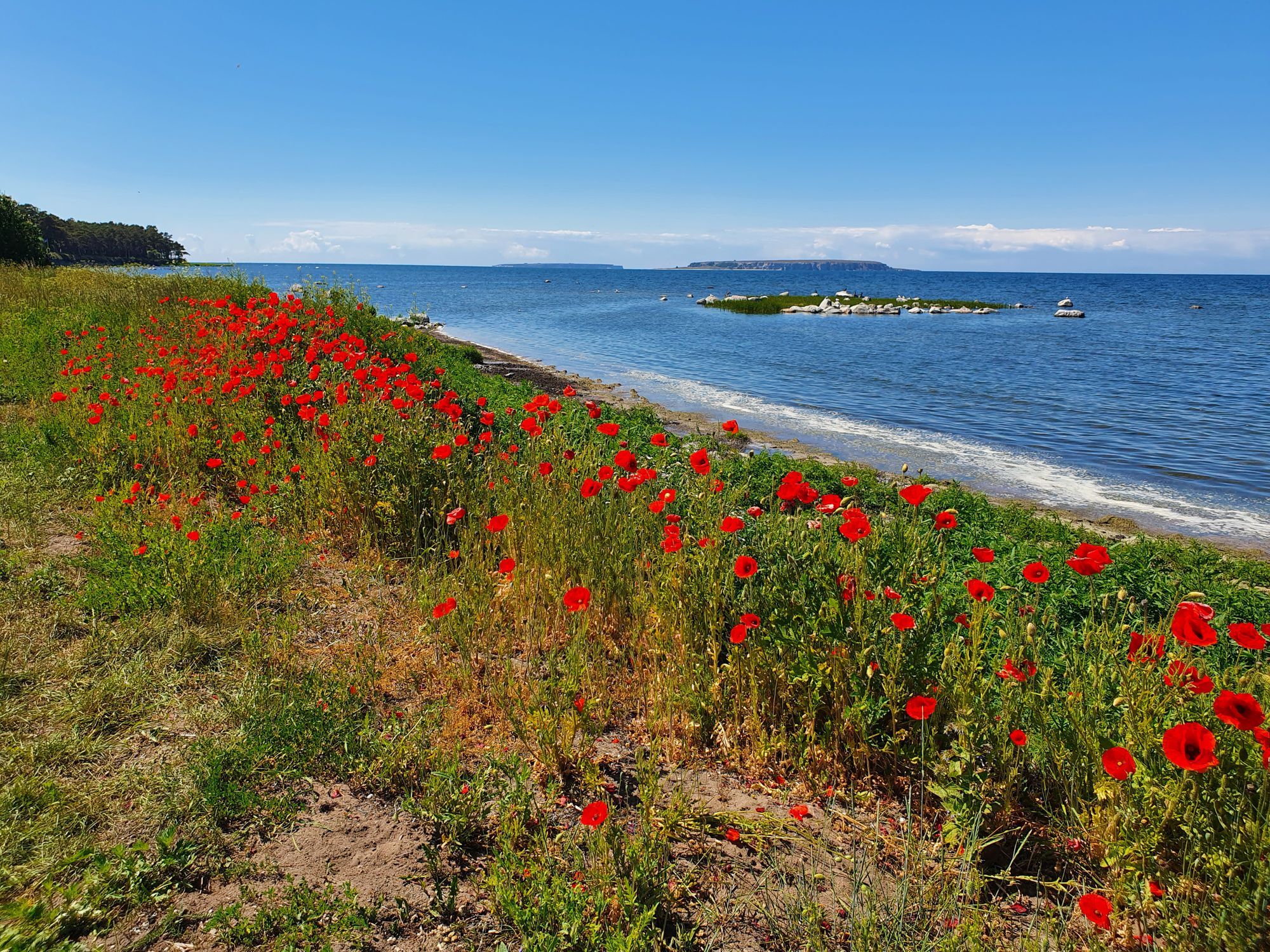 Stuga i Fröjel, Sandhamn – bild 7 av 7