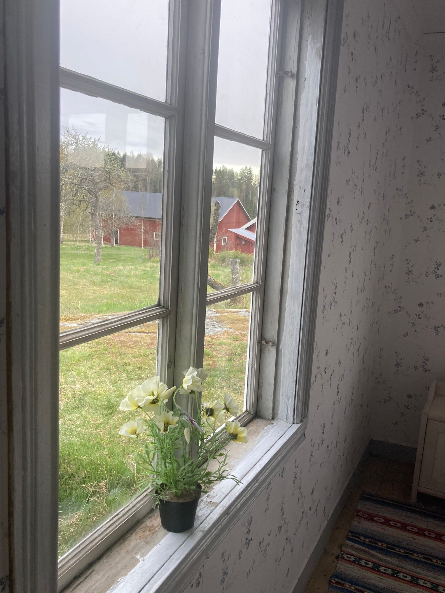 Stuga (Drängstuga) 25 km till Astrid Lindgren-Byn – bild 6 av 24