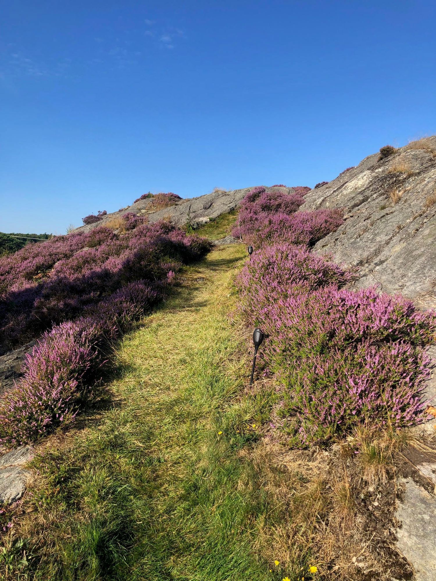 Mysig sommarstuga vid Ellös – bild 14 av 19