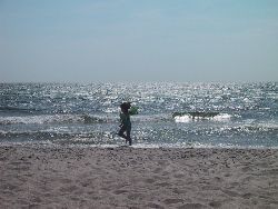 Beddingestrand, Sydkusten, Skåne, Ystad, Smygehamn – bild 2 av 24