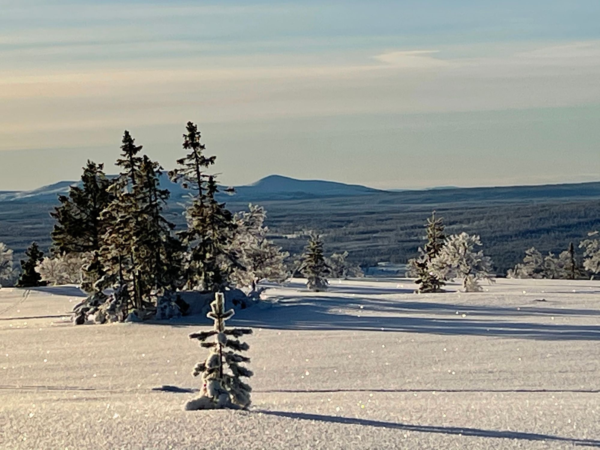 Modern stuga sjö/fjäll utsikt i Lofsdalen (båt) – bild 11 av 24