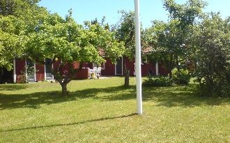 Sommarboende nära Böda sandstrand, Öland