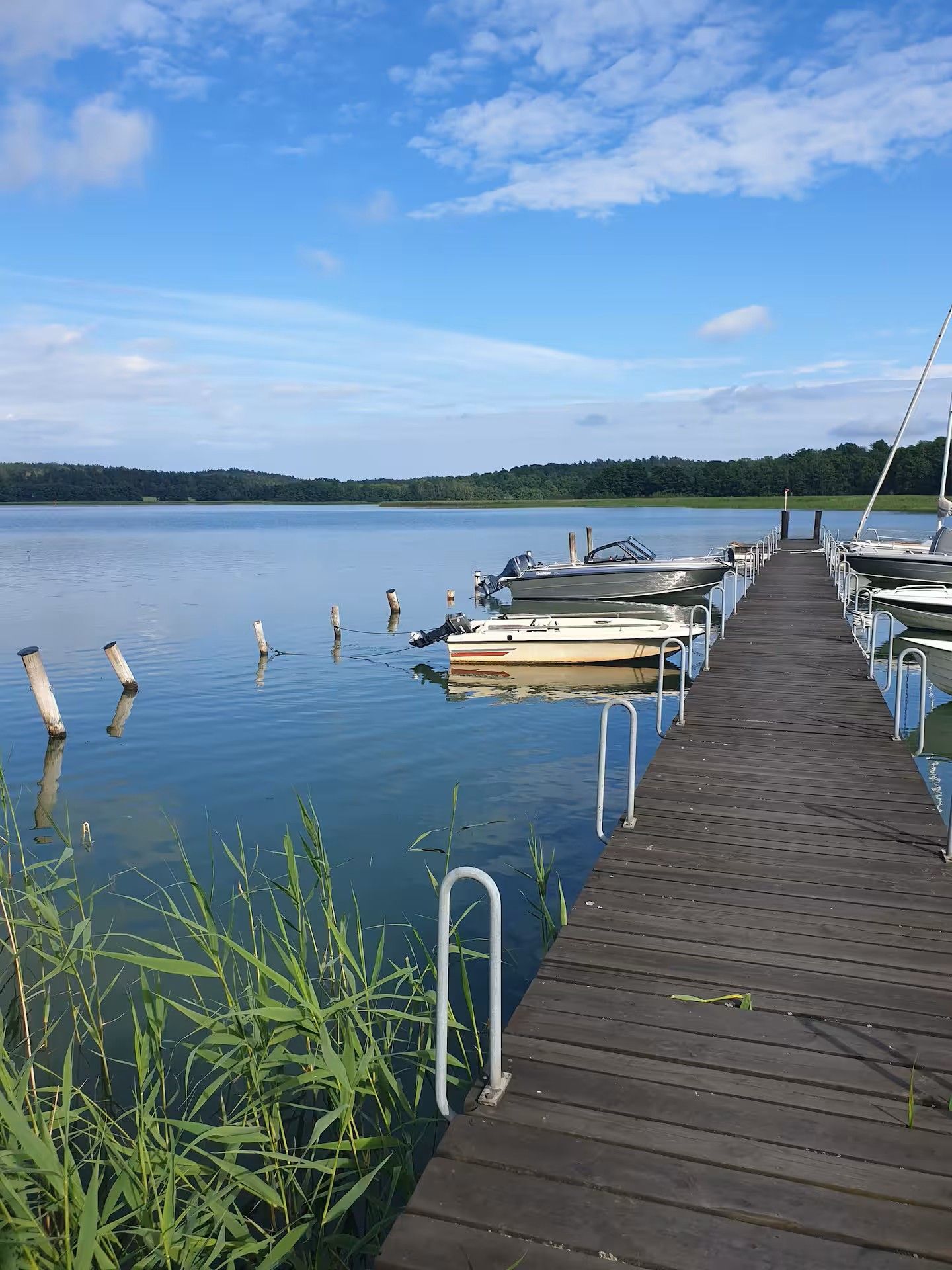 Modern och mysig stuga i skogen – bild 19 av 21
