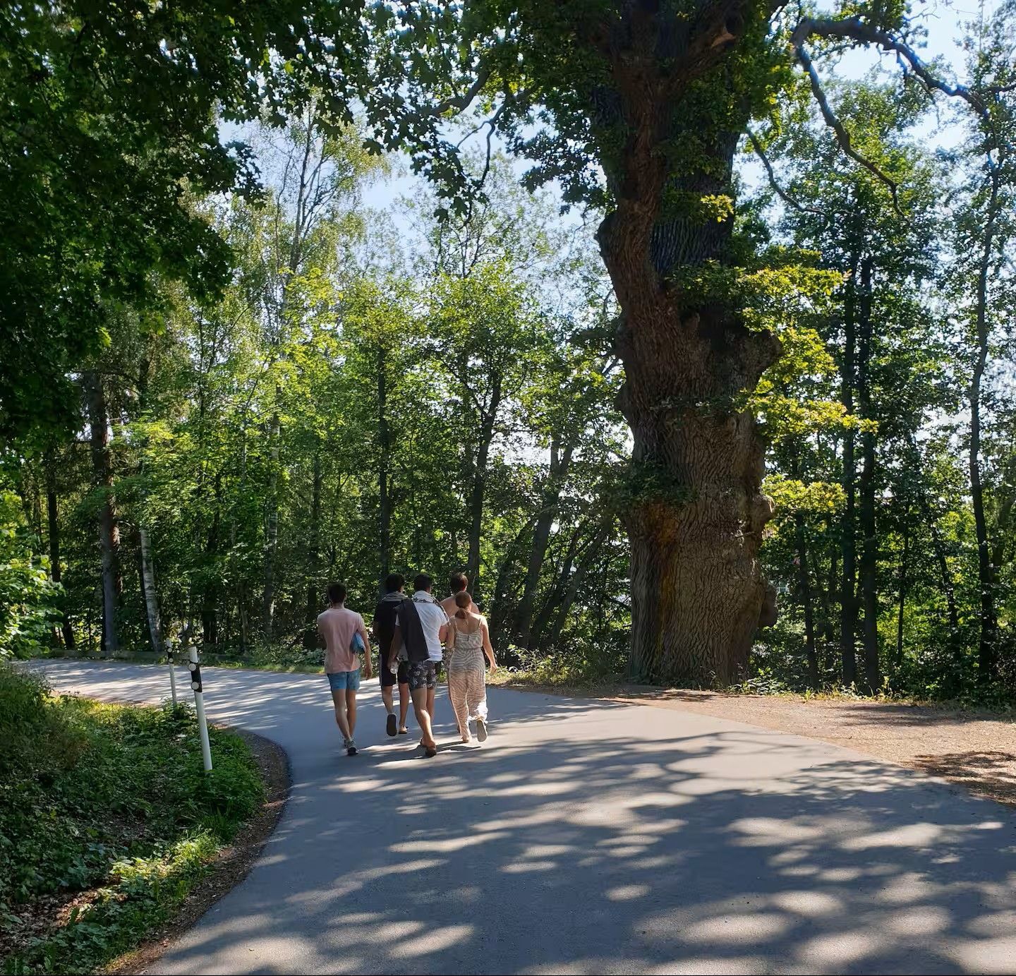 Modern och mysig stuga i skogen – bild 18 av 21
