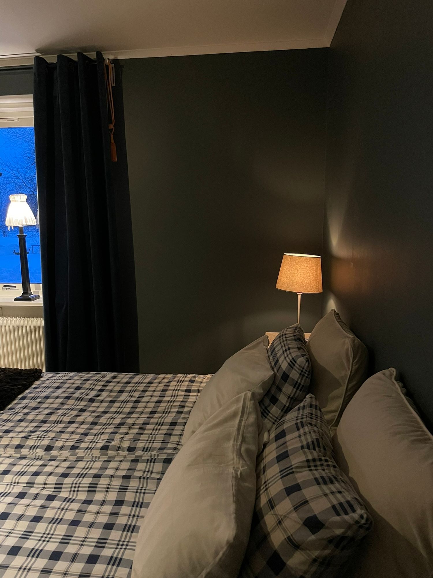 Hus mellan Romme alpin och centrala Borlänge – bild 4 av 24