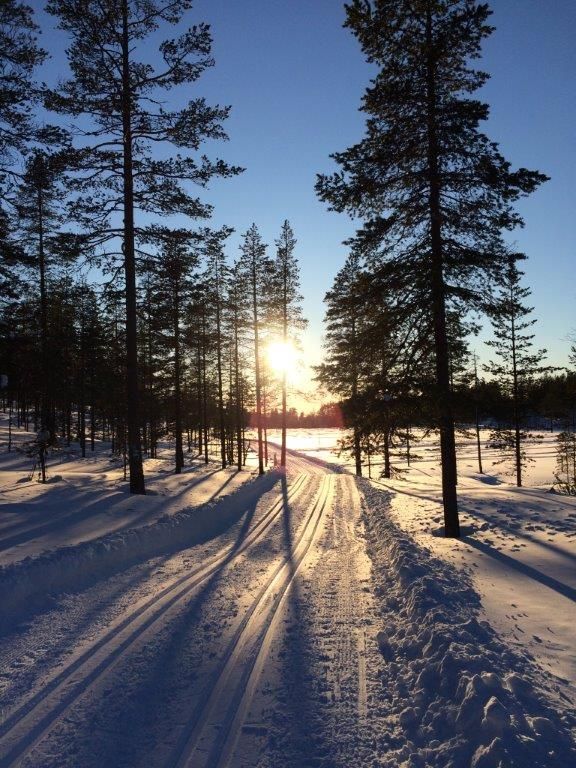 Sälen / Tandådalen / Hundfjället / Orrliden – bild 6 av 24