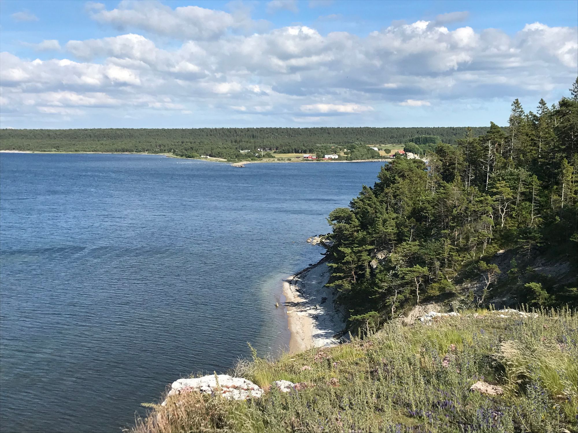 Trivsamt havsnära i Stenkyrka, Gotland – bild 11 av 14