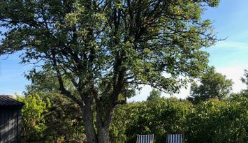 Ronehamn - nära badplats och hamn