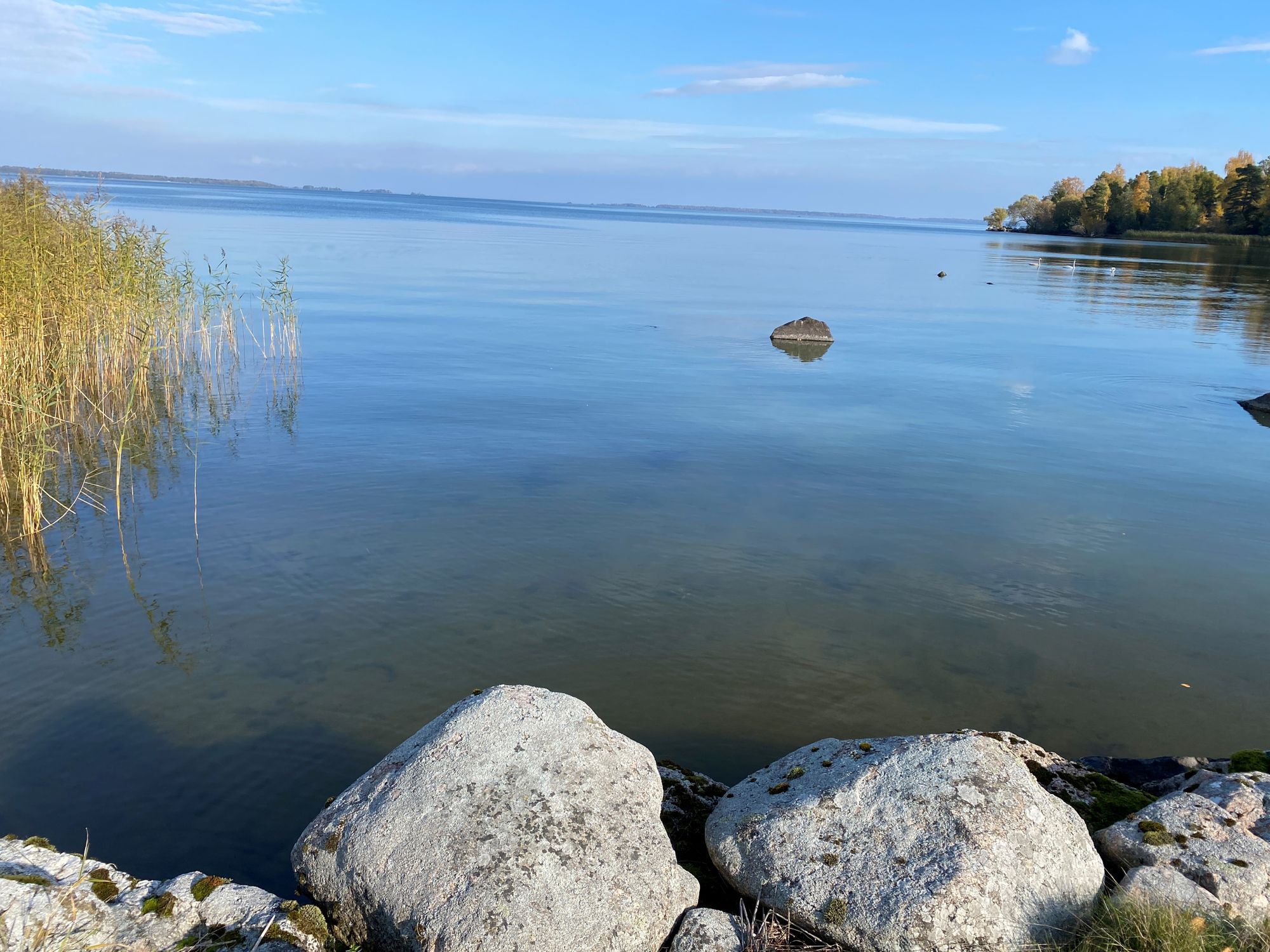 Sommarhus vid Södra Hjälmaren med sjötomt – bild 11 av 24